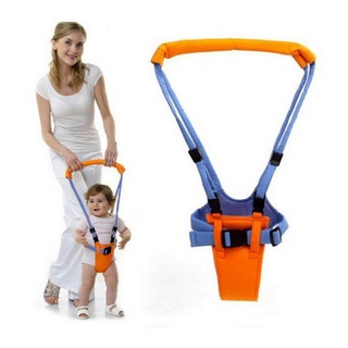 Cinturón Para caminar De bebé/estudio/aprendizaje Seguro/ayuda Para caminar (1)