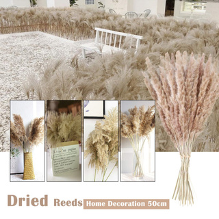 Natural Dried Flowers Brown Bouquet Boho Decoration Home Bedroom Living Room50cm (1)
