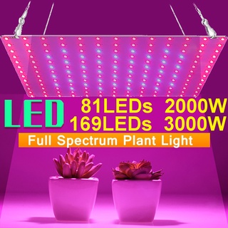 3000/2000w luz led de crecimiento de espectro completo de luz led ajustable para crecimiento de la luz