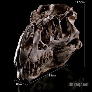 Fossil [Jinkeqcool] resina artesanía dinosaurio diente cráneo fósil enseñanza esqueleto modelo de Halloween decoración (1)