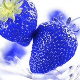 semillas de fresa frutas raras plantas jardín en maceta azul hogar 100pcs cda5