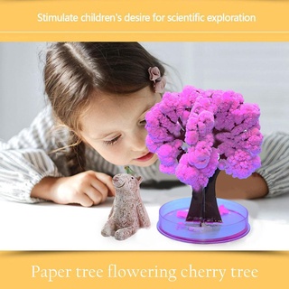 x1r4 árbol de papel infantil floreciente mágico crecimiento cristalización ciencia mágico M4I3 (7)