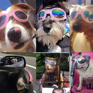 gafas de sol plegables para perros/protección ocular para mascotas/gafas de protección solar polarizadas a prueba de viento