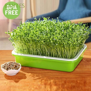 BAHTES Durable Gardening Tools Natural Hydroponic Vegetable Seedling Tray Harmless Wheatgrass Plastic Homemade Double-layer Soilless Planting Soilless cultivation/Multicolor