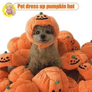 sombrero de calabaza de halloween para mascotas, perro, cachorro, gato, peluche, para cosplay, fiesta
