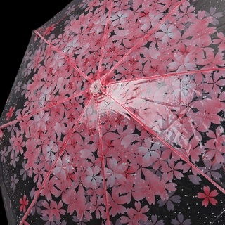 fdg paraguas transparentes transparentes flor de cerezo setas Sakura 3 pliegues paraguas (7)