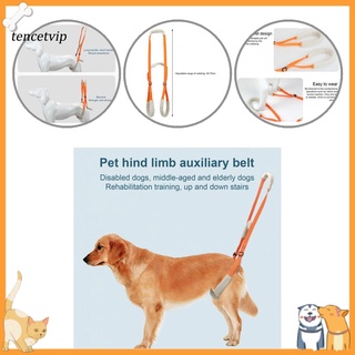 Cinturón De rehacción Para mascotas/rehabilitación/Resistente A ropa Para perros
