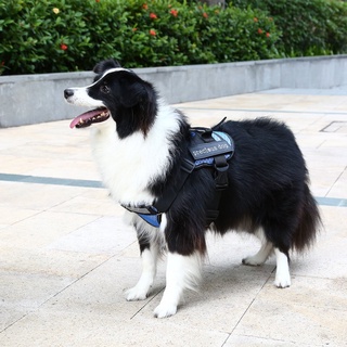 qkc】Adjustable Pet Dog Halter Harness Collar Breathable Mesh Pet Vest Dog Supplies (1)
