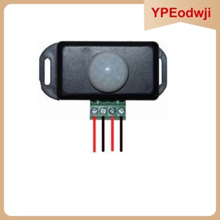 Compatible DC 12V~24V 8A Automatic LED PIR Motion Sensor Switch Human Body Infrared Activated Light Switch for DIY Light