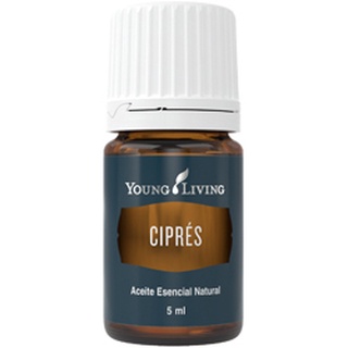 Aceite young living Cypress Essential Oil 5ml