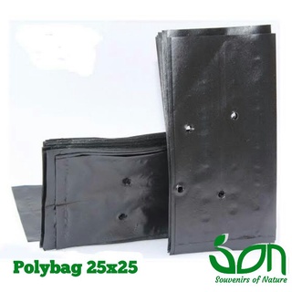 25X25 Polybag