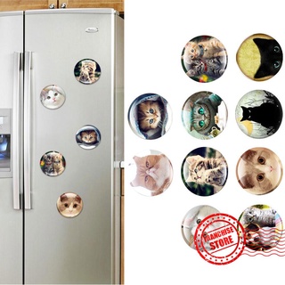 gato imán de nevera lindo animal refrigerador imanes de vidrio refrigerador mensaje decoración o7i0