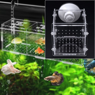 Imag caja sq De aislamiento Para acuario/pecera/pecera (2)