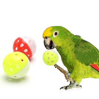 Juguete De loro Para mascota/pelota hueca De pájaro Para jaula De juguete