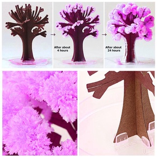 x1r4 árbol de papel infantil floreciente mágico crecimiento cristalización ciencia mágico M4I3 (8)