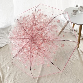 Paraguas Sakura Transparente tri-fold Plegable Japonés Literario Pequeño Claro Lindo Mori Sistema Foldabe (9)