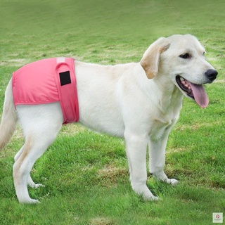 Cachorro perro pañal fisiológico pantalones mascotas niña perro ropa interior pantalones cortos accesorios para mascotas (7)