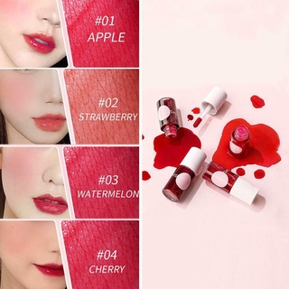 1pc maquillaje rojo brillo de labios mate espejo lápiz labial impermeable tinte de mejillas antiadherente taza duradera labio d6b8 (4)