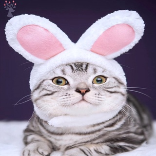 1 pieza de mascota Headwear disfraz de mascota trajes lindo conejo oreja sombrero gato conejo disfraz para gatos perros pequeños diario o fiesta accesorio mascota casco hogar