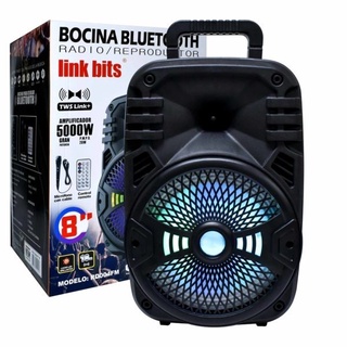 bocinas 6.5" económica con luces entrada micro usb recargable SA-682 (1)