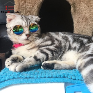 Ws lentes de sol de moda para gato/gato/protección de ojos/perro/gato/juguete para fotos/cachorro (3)